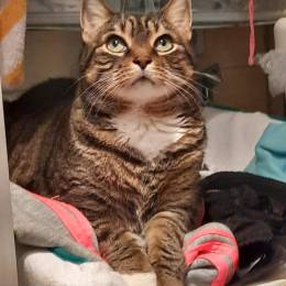 Avatar von SchrubbeDieKatz